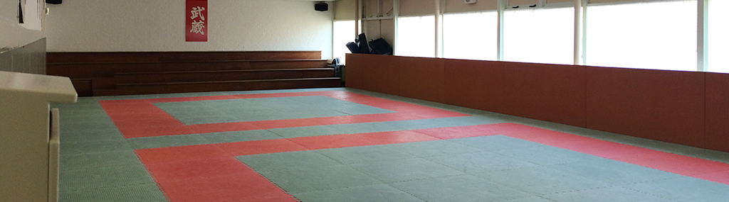 De dojo van Zeemacht met de roodgroene judomat